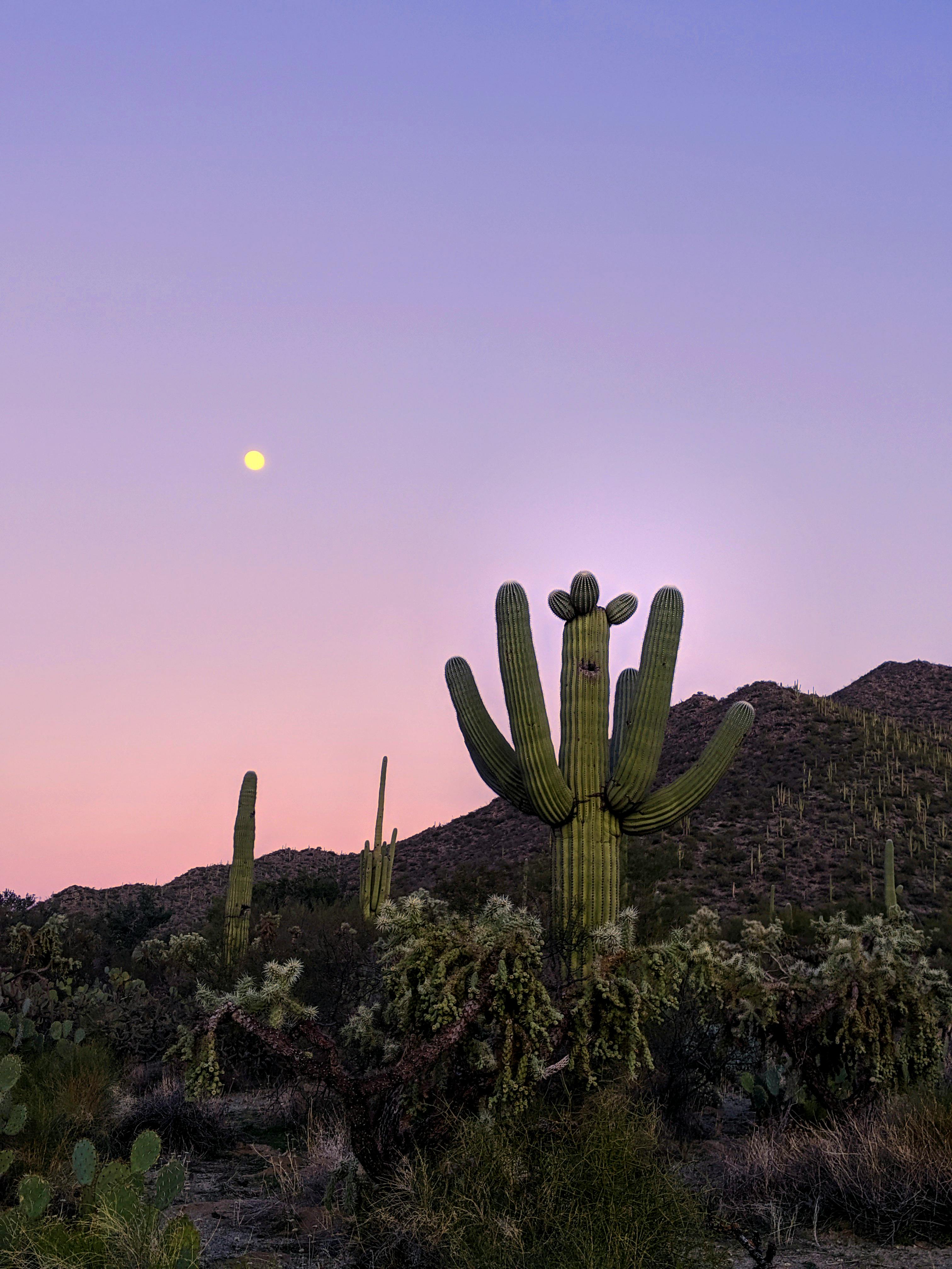 Artistic Workshops in Tucson style=